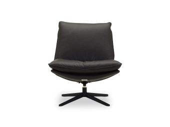 Alexander Accent Swivel Chair